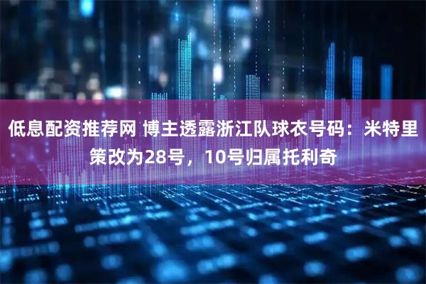 低息配资推荐网 博主透露浙江队球衣号码：米特里策改为28号，10号归属托利奇